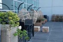 Ogród społeczny na tarasie Biblioteki Głównej UG 