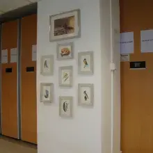 "Akwarela - moja miłość". Relacja z wernisażu