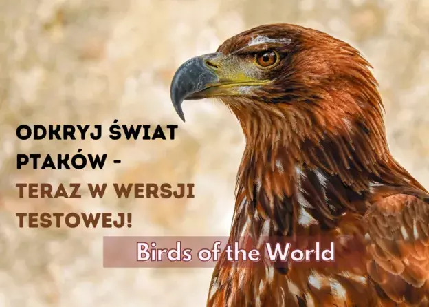 Odkryj świat ptaków z Birds of the World – teraz w wersji testowej!